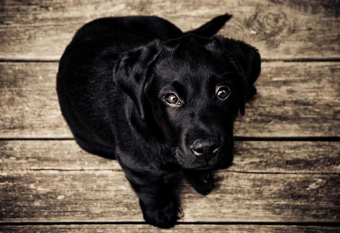 The Startup Playbook 2026: How to Build and Scale from Zero to Profitable