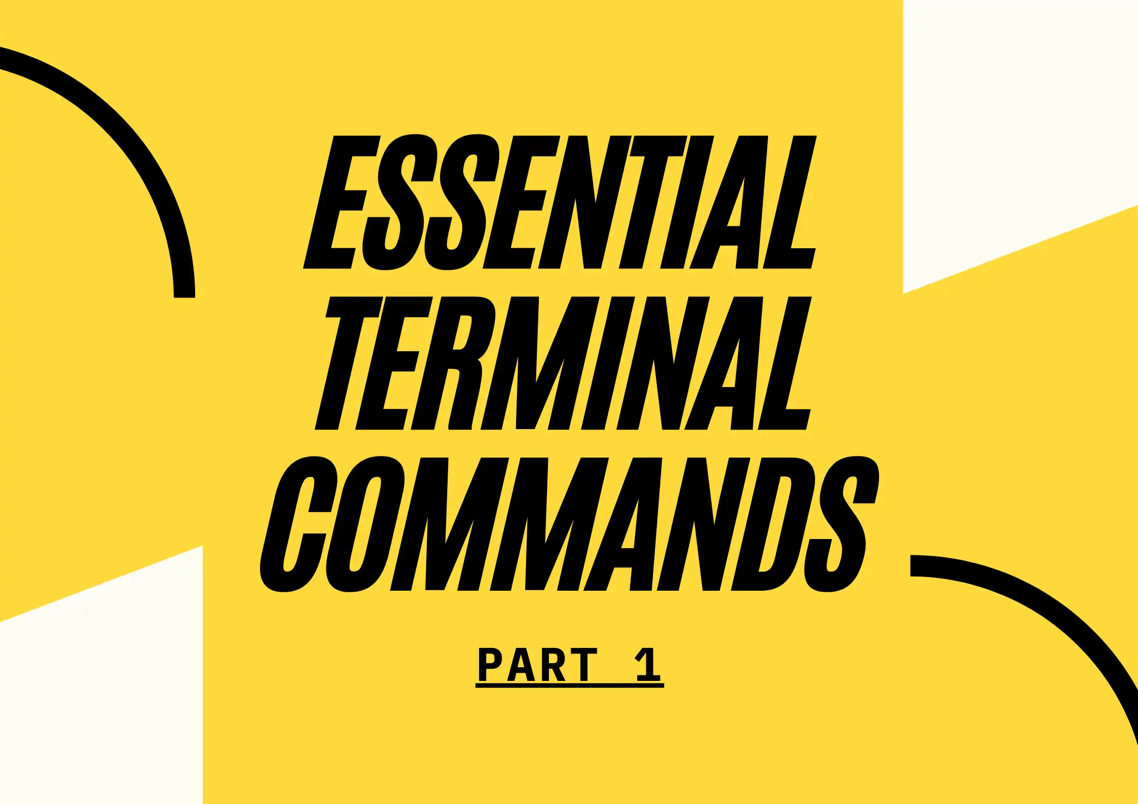 Essential Terminal Commands